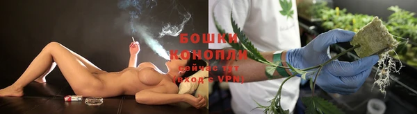 экстази Краснослободск