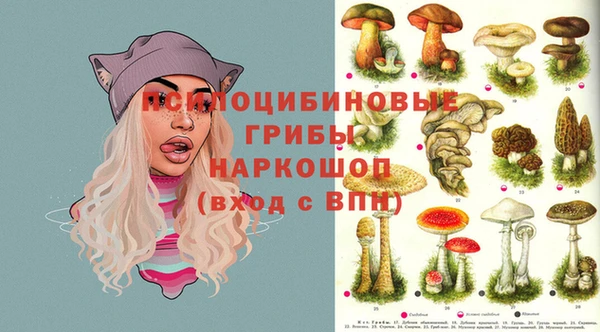 экстази Краснослободск