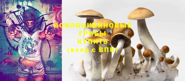 ГАЛЛЮЦИНОГЕННЫЕ ГРИБЫ Краснотурьинск