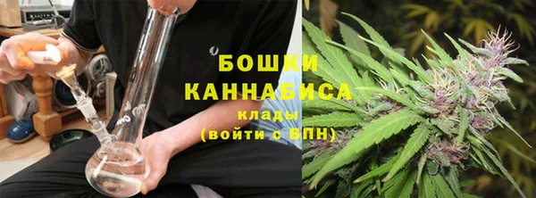 ГАЛЛЮЦИНОГЕННЫЕ ГРИБЫ Краснотурьинск
