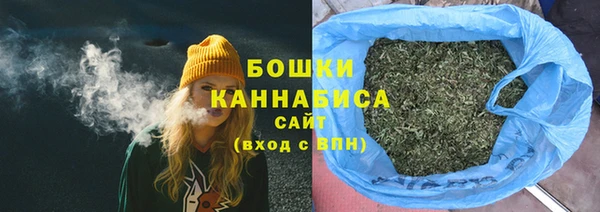 ГАЛЛЮЦИНОГЕННЫЕ ГРИБЫ Краснотурьинск