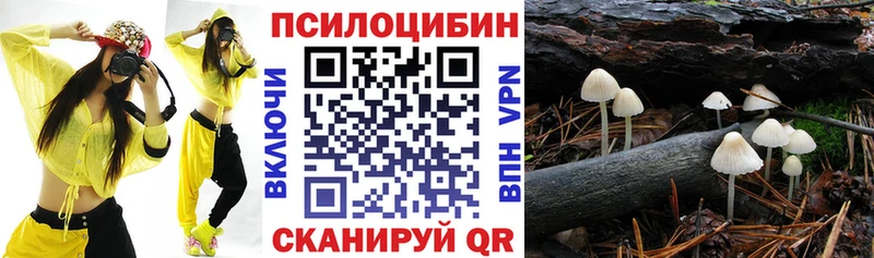 наркошоп  Тырныауз  Галлюциногенные грибы мицелий 